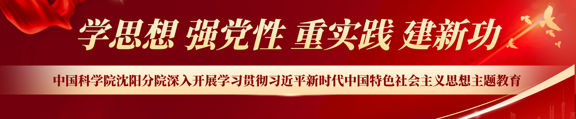 深入開展學(xué)習(xí)貫徹習(xí)近平新時(shí)代中國特色社會(huì)主義思想主題教育